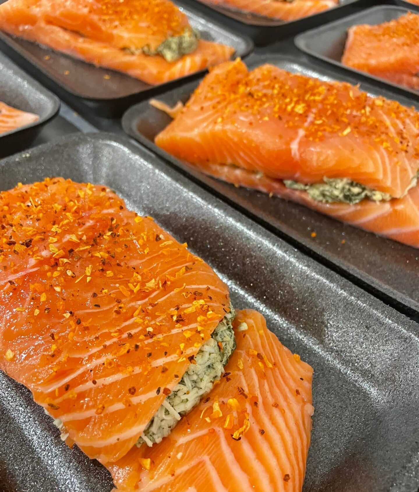 Salmon